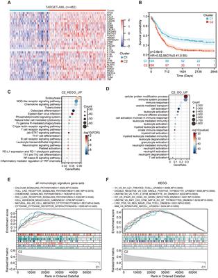 The enhancement of immunoactivity induced by immunogenic cell death through serine/threonine kinase 10 inhibition: a potential therapeutic strategy